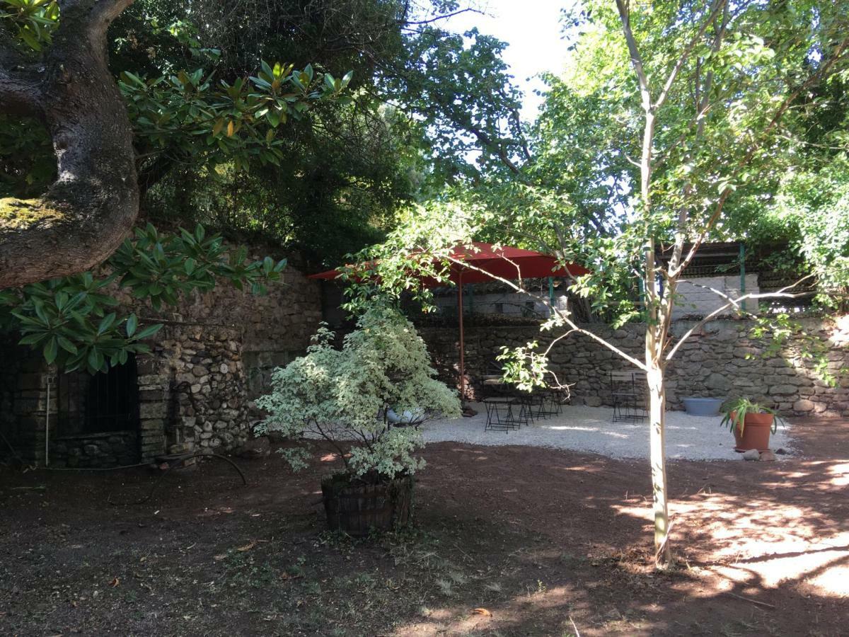 多马内的布劳森住宿加早餐旅馆 La Tour-sur-Orb 外观 照片
