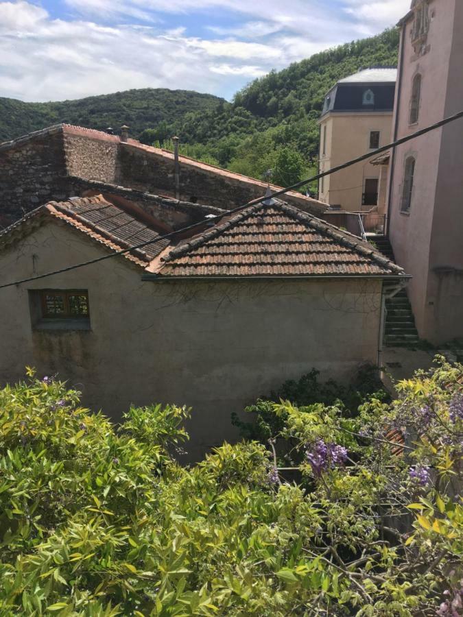 多马内的布劳森住宿加早餐旅馆 La Tour-sur-Orb 外观 照片