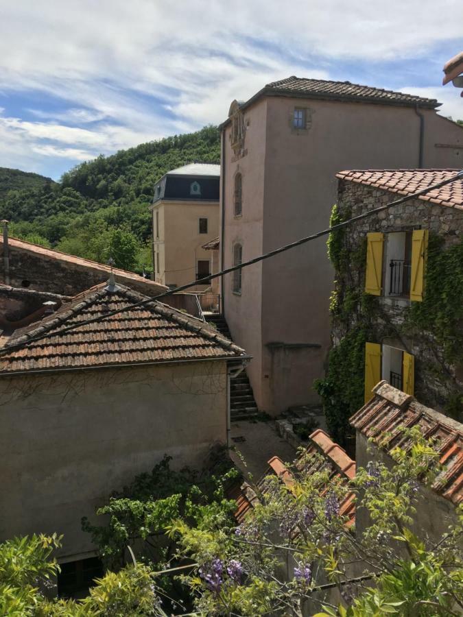 多马内的布劳森住宿加早餐旅馆 La Tour-sur-Orb 外观 照片
